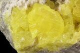 Sulfur Crystals & Strontianite on Matrix - Italy #93648-2